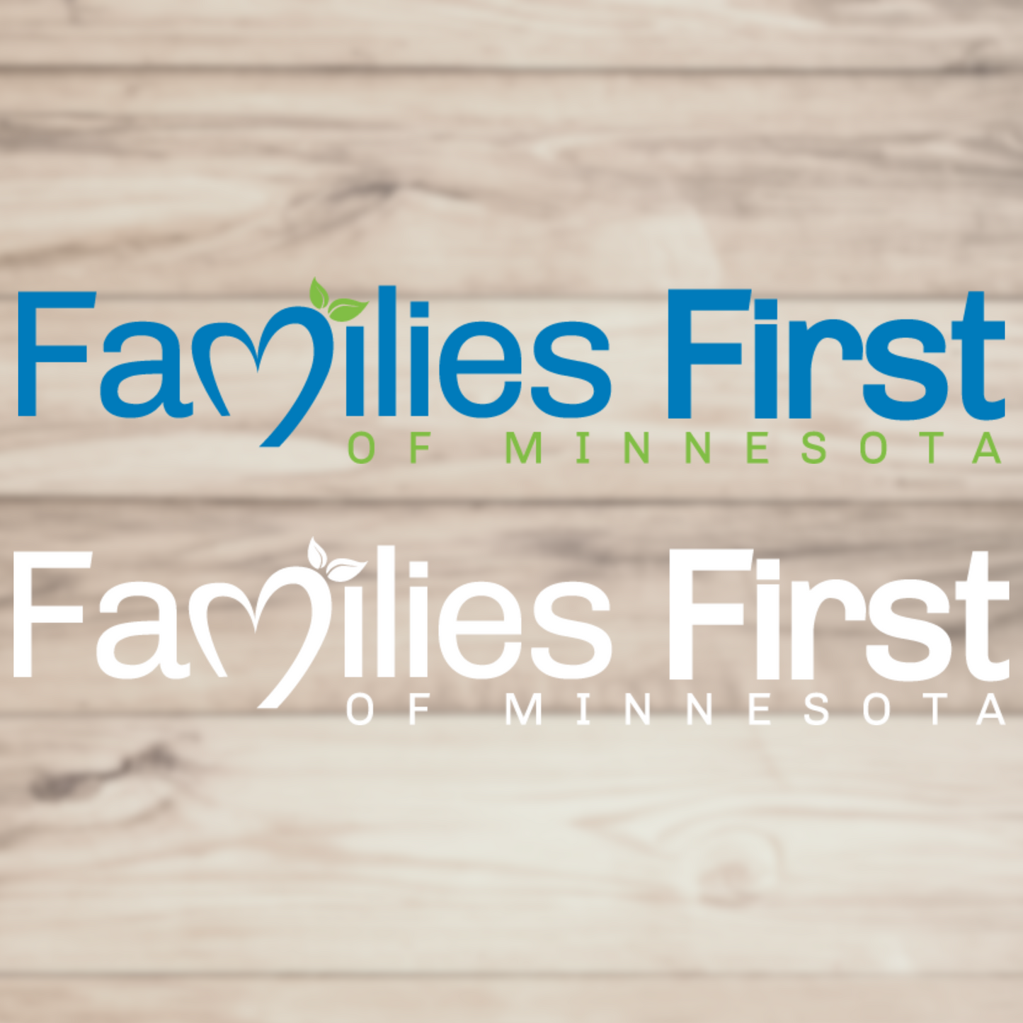Families First of MN - Hooded Sweatshirt