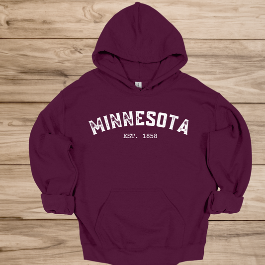 States Established - Hooded Sweatshirt - White logo